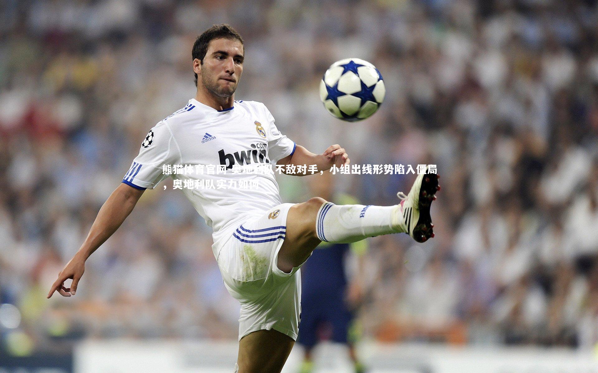 奥地利队不敌对手，小组出线形势陷入僵局，奥地利队实力如何