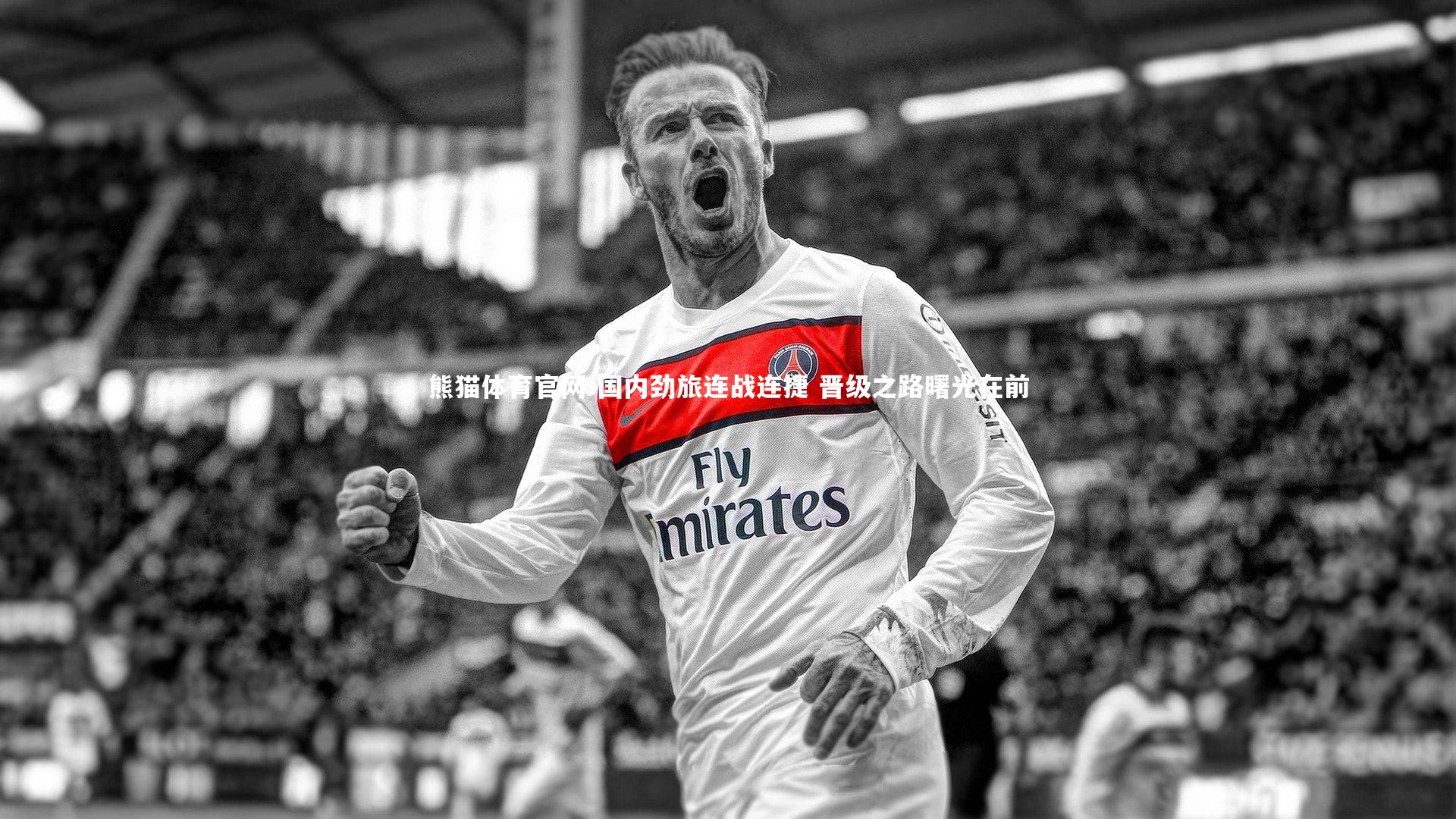 熊猫体育官网-国内劲旅连战连捷 晋级之路曙光在前