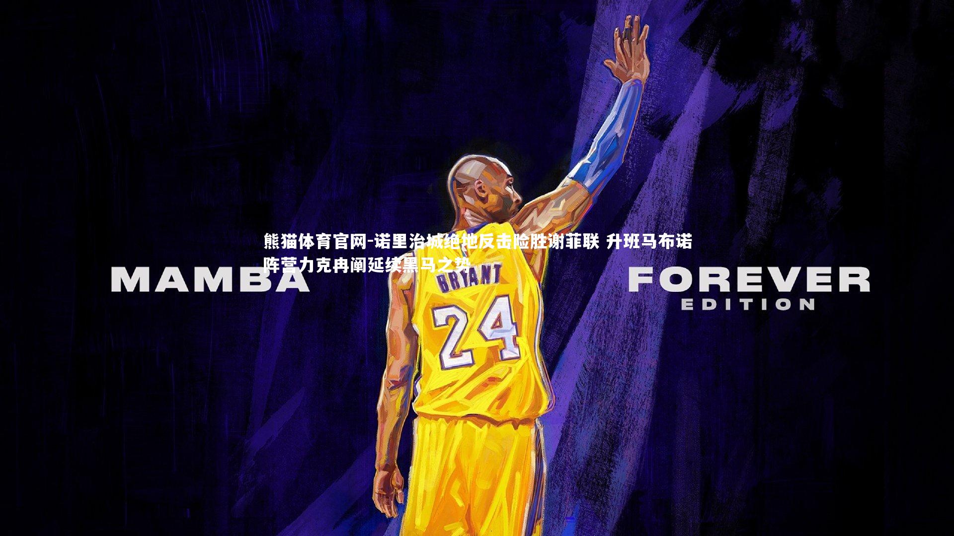 熊猫体育官网-诺里治城绝地反击险胜谢菲联 升班马布诺阵营力克冉阐延续黑马之势